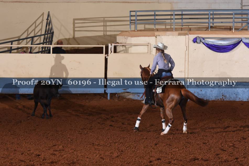 Proof 20YN_60196