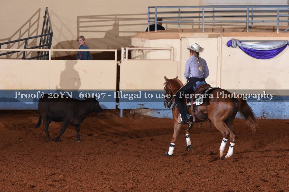 Proof 20YN_60197