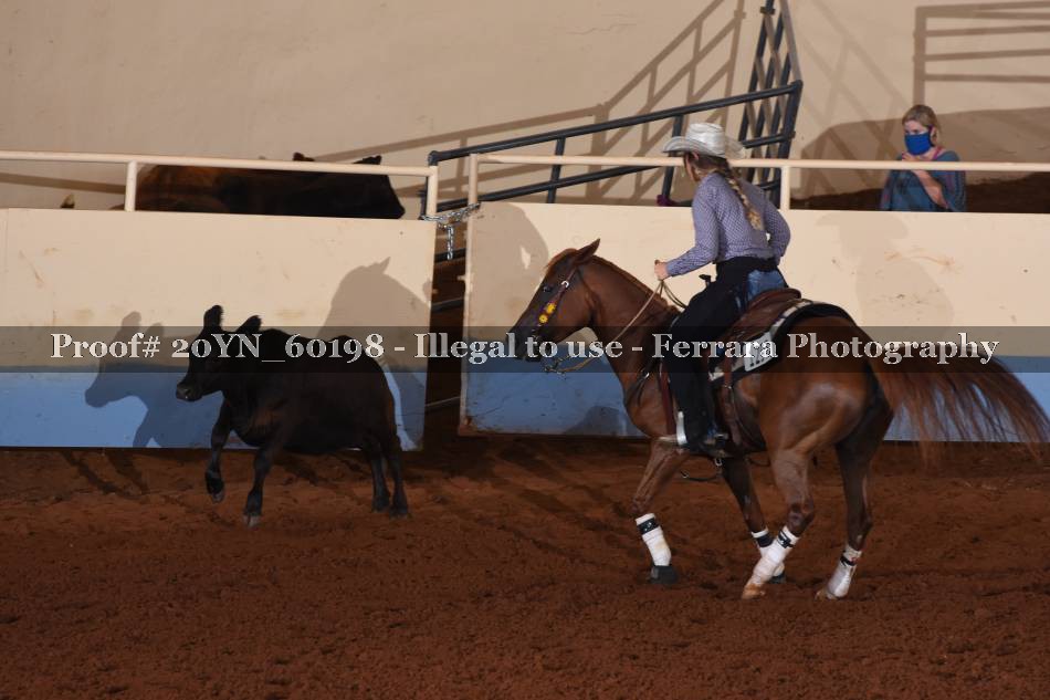 Proof 20YN_60198