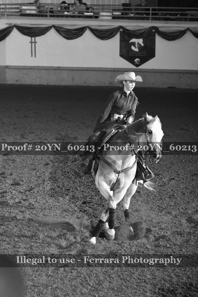 Proof 20YN_60213