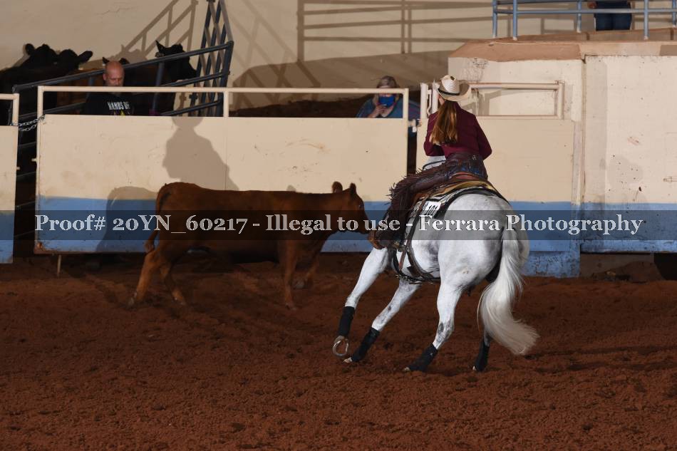 Proof 20YN_60217