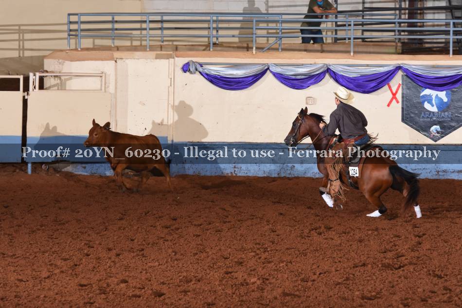 Proof 20YN_60230