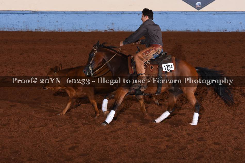 Proof 20YN_60233