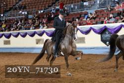 20YN_71730 proof
