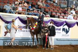 20YN_71771 proof