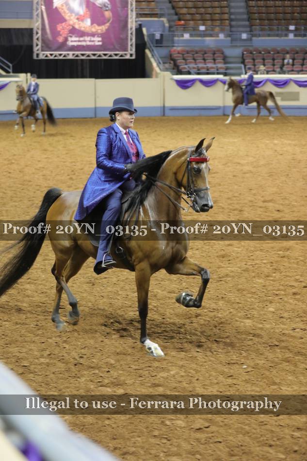 Proof 20YN_03135