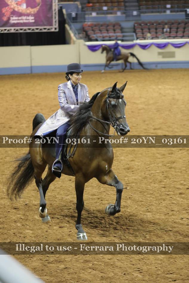 Proof 20YN_03161