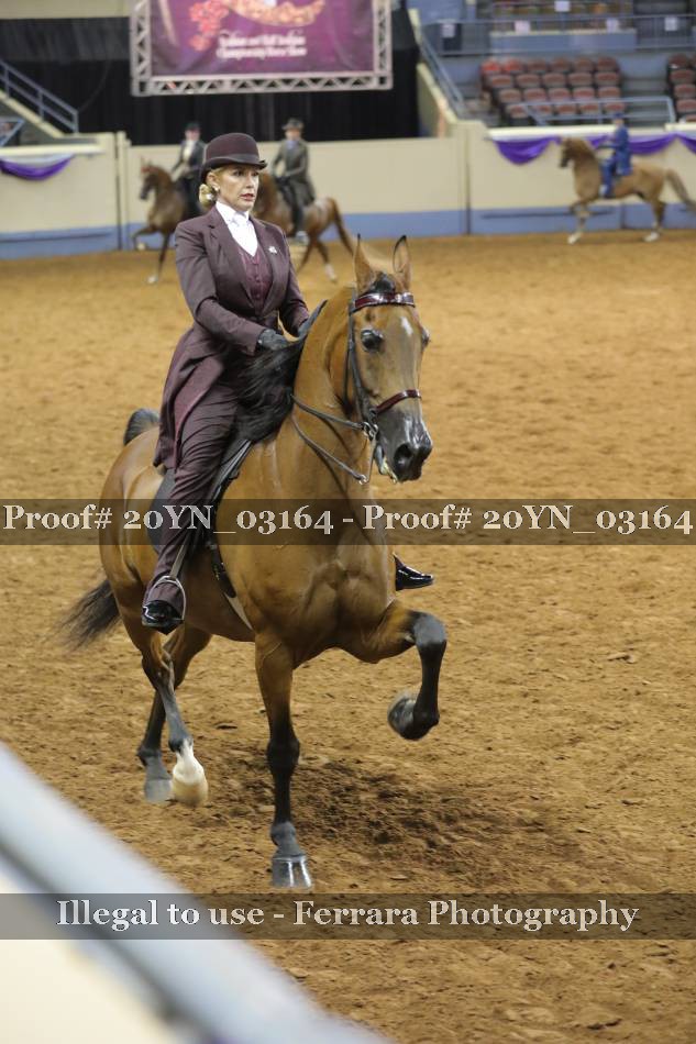 Proof 20YN_03164