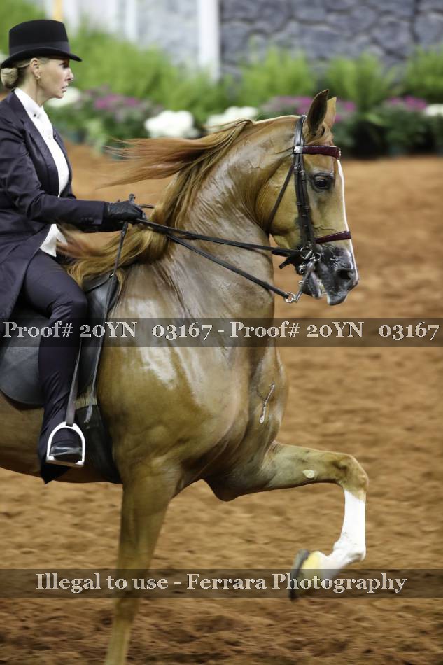 Proof 20YN_03167