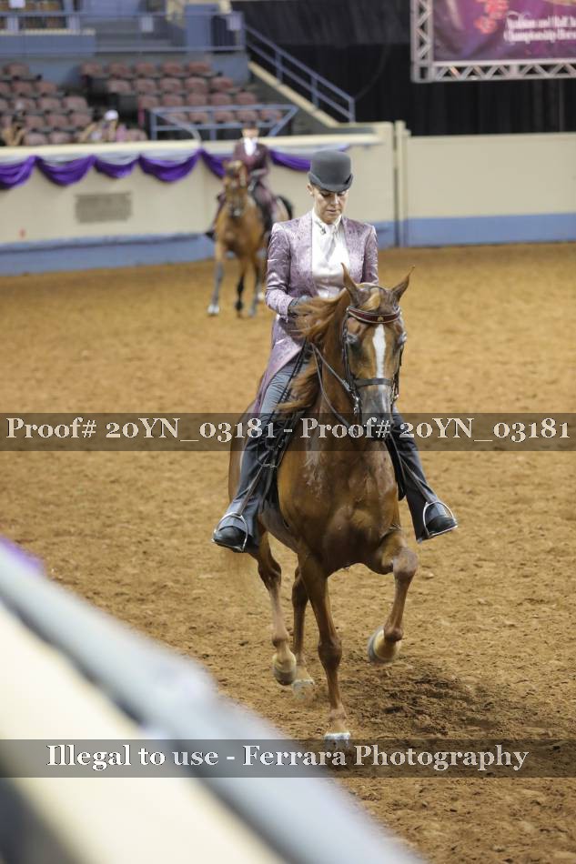 Proof 20YN_03181