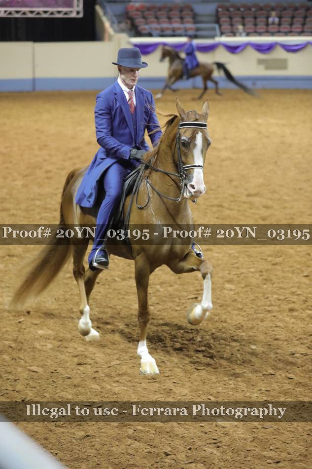 Proof 20YN_03195
