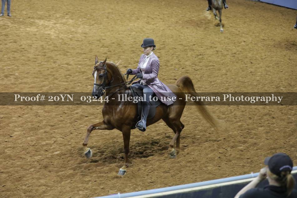 Proof 20YN_03244