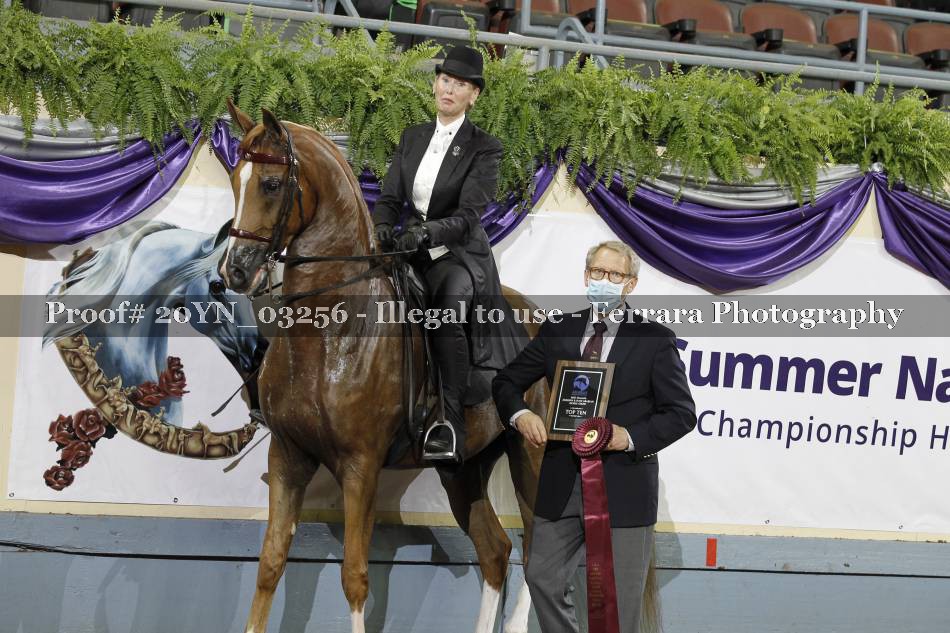 Proof 20YN_03256