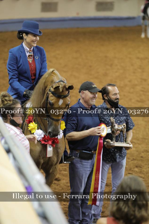 Proof 20YN_03276
