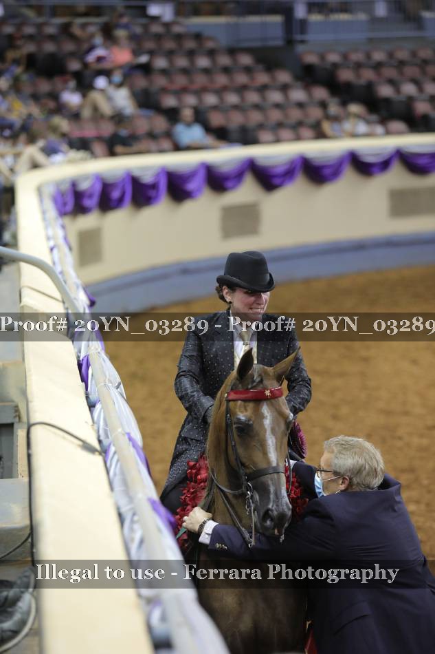 Proof 20YN_03289