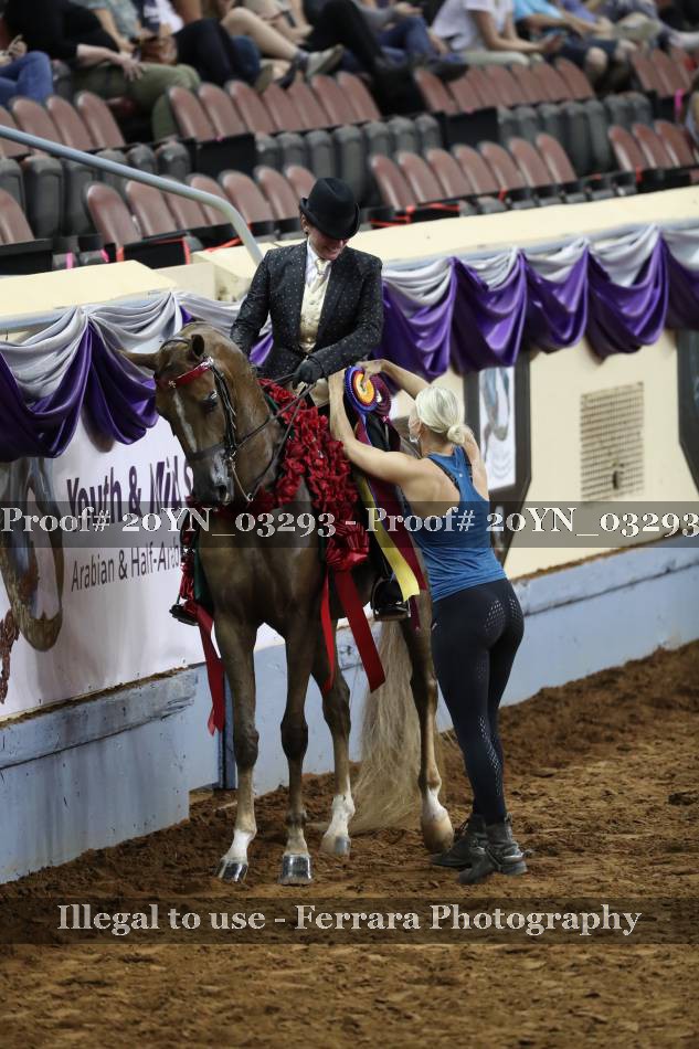Proof 20YN_03293