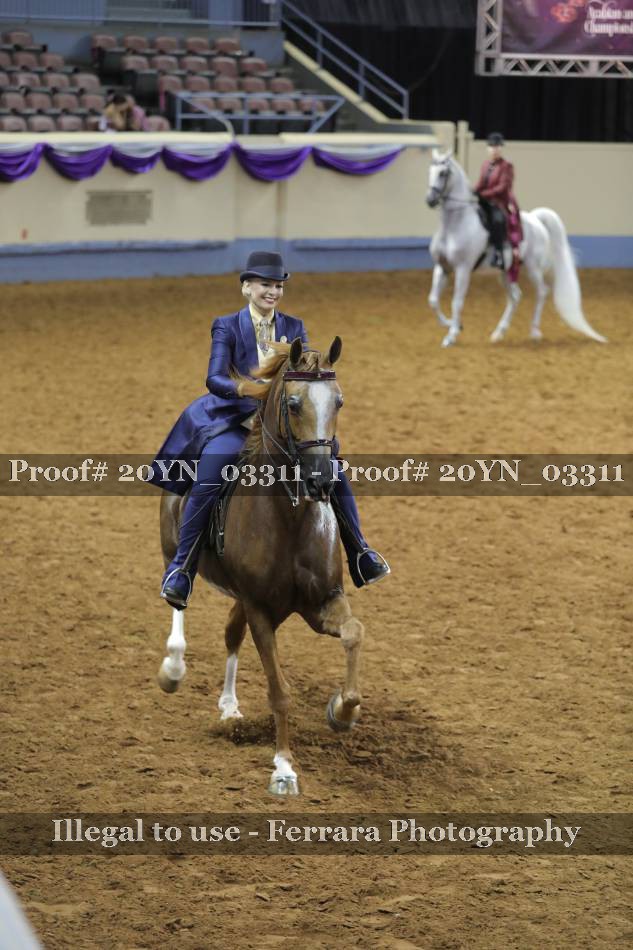 Proof 20YN_03311