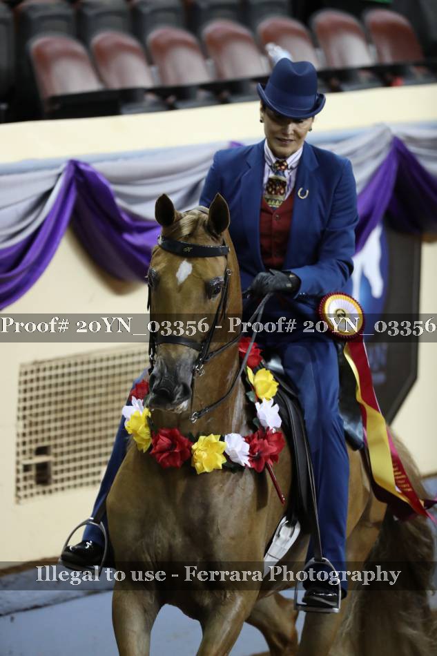 Proof 20YN_03356