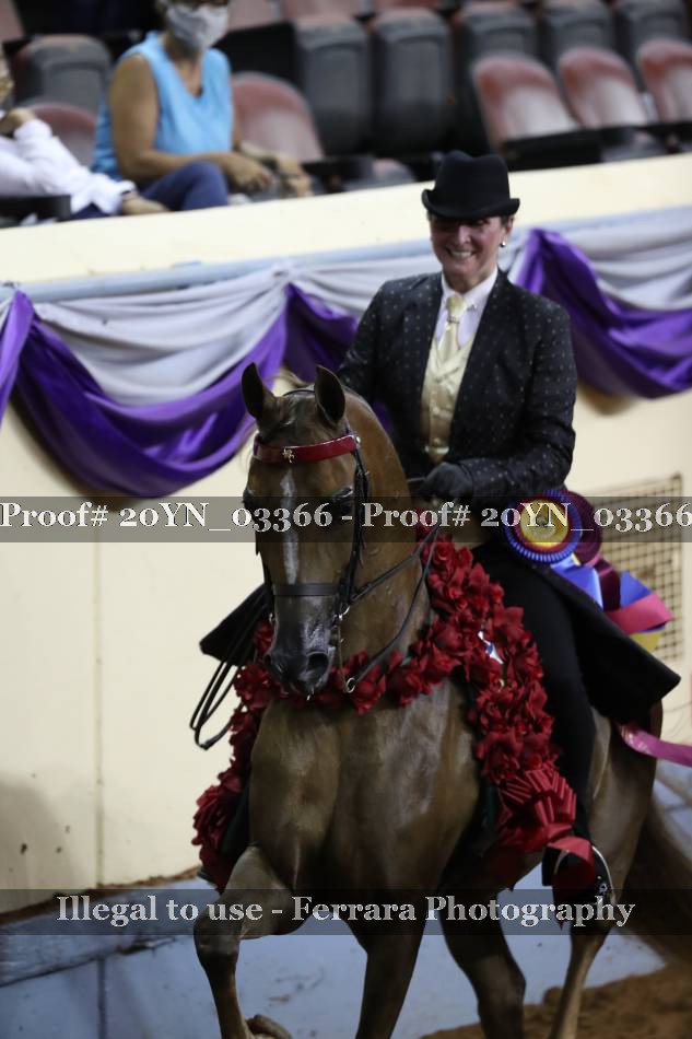 Proof 20YN_03366