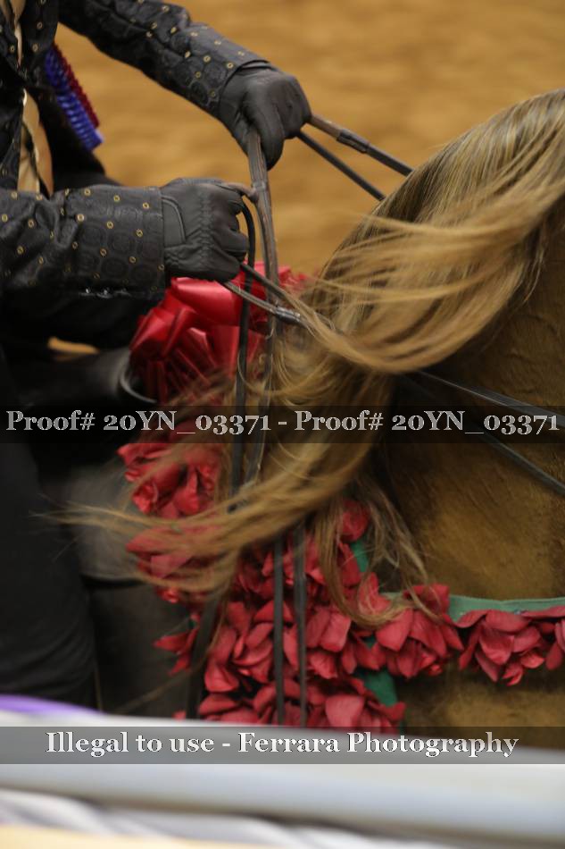 Proof 20YN_03371