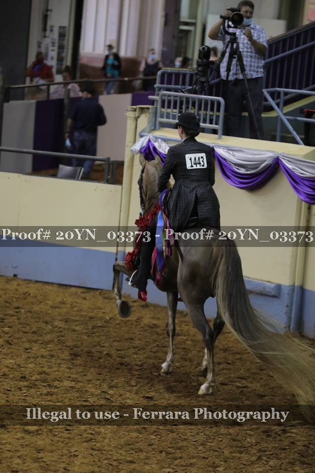 Proof 20YN_03373