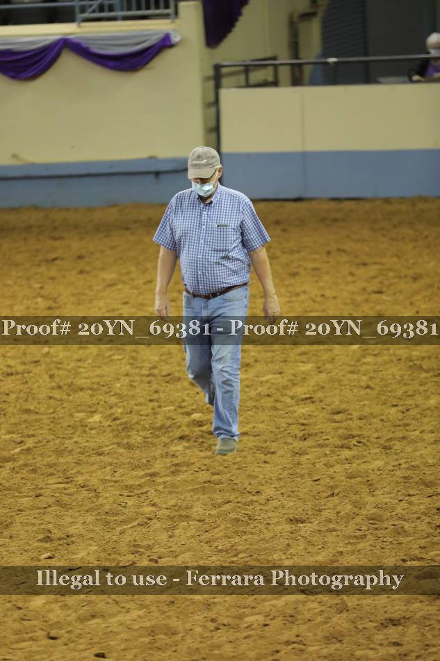 Proof 20YN_69381