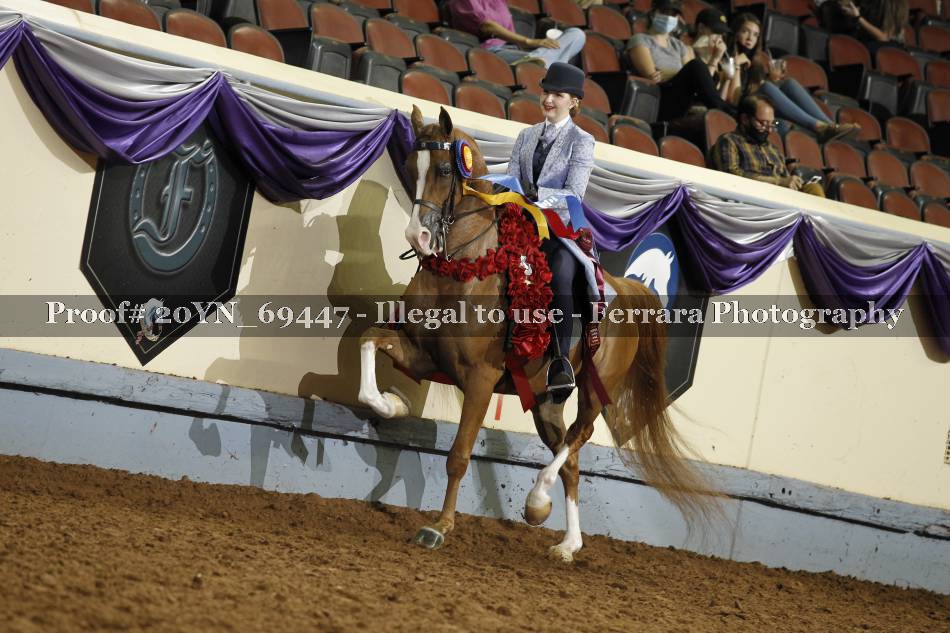 Proof 20YN_69447