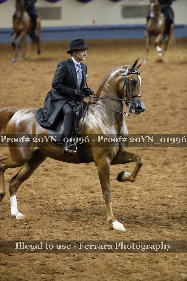 Proof 20YN_01996