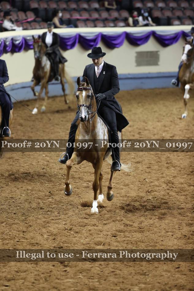 Proof 20YN_01997