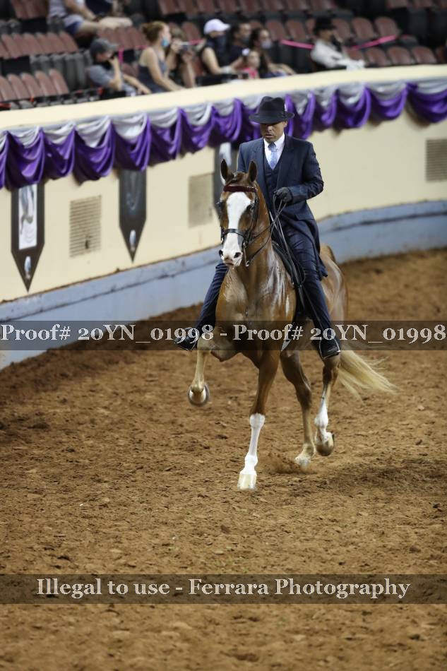 Proof 20YN_01998