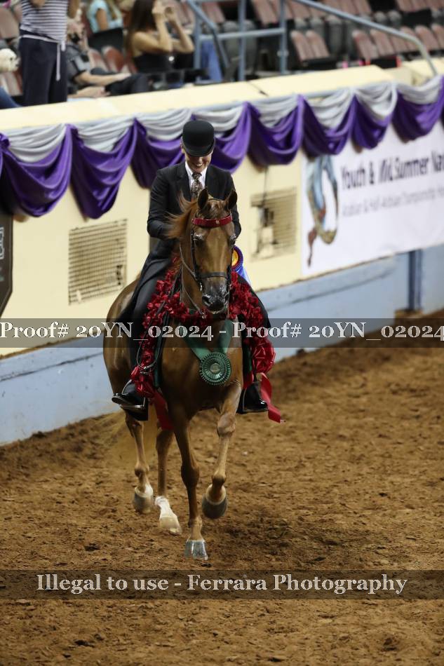 Proof 20YN_02024