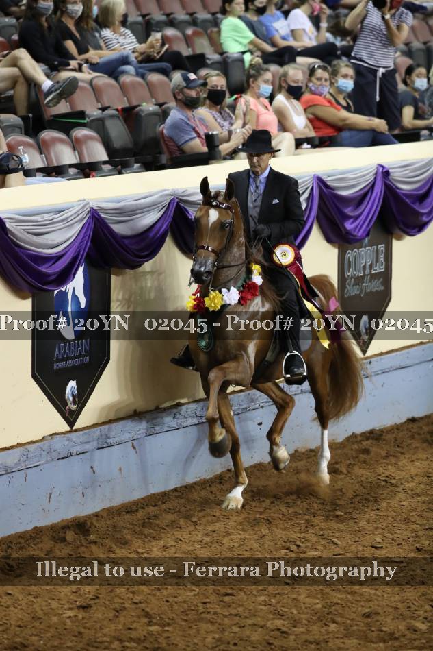 Proof 20YN_02045