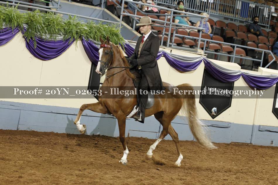 Proof 20YN_02053
