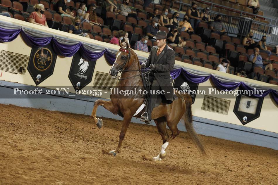 Proof 20YN_02055