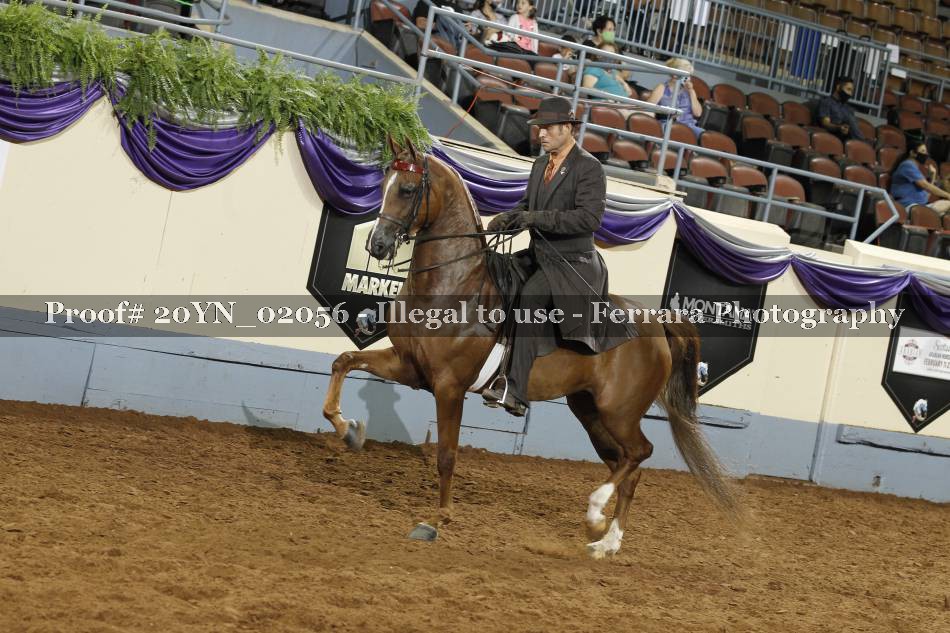 Proof 20YN_02056