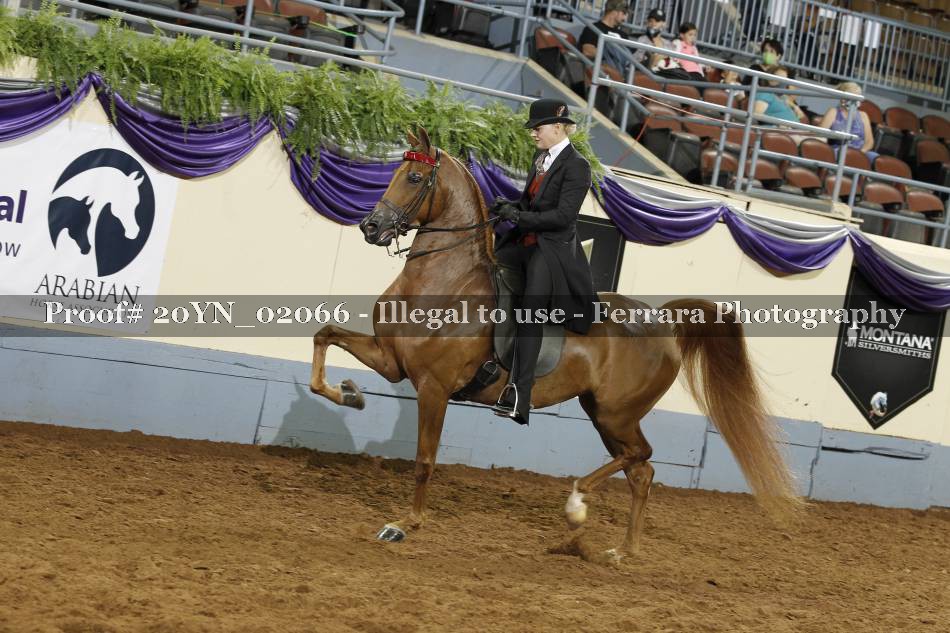 Proof 20YN_02066