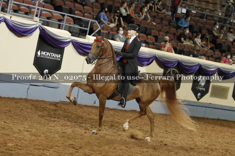 Proof 20YN_02075