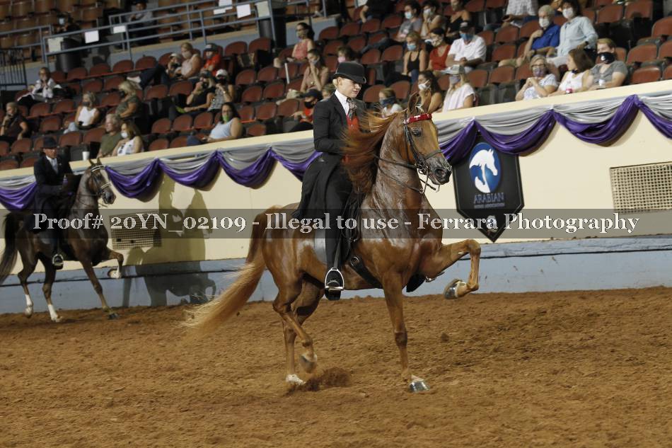 Proof 20YN_02109