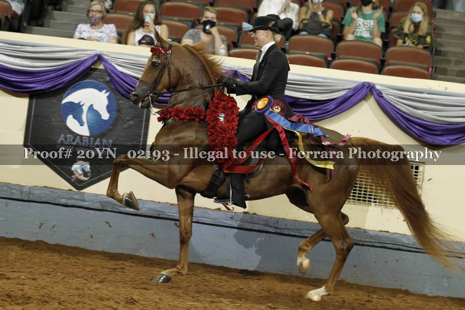Proof 20YN_02193