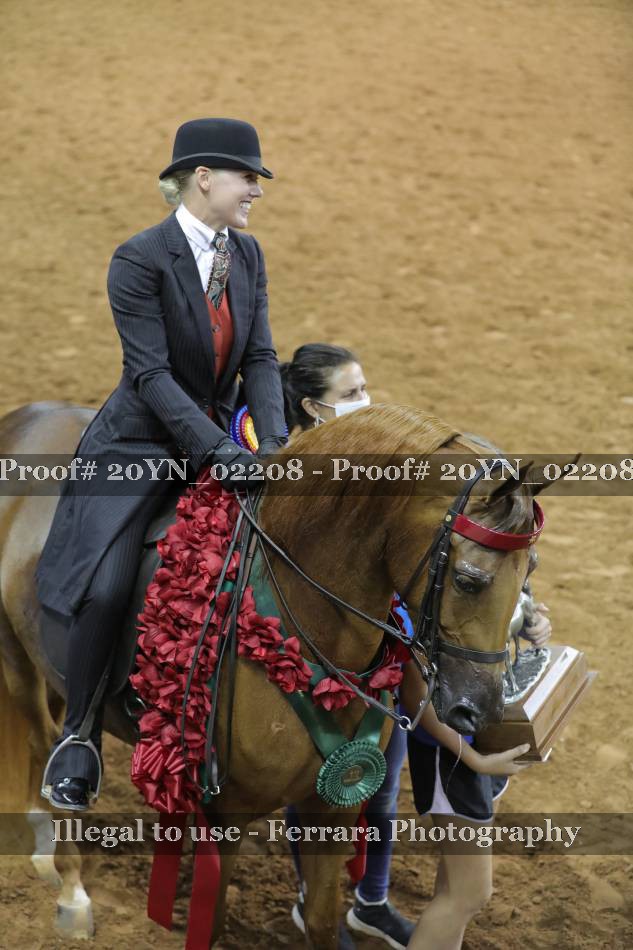 Proof 20YN_02208