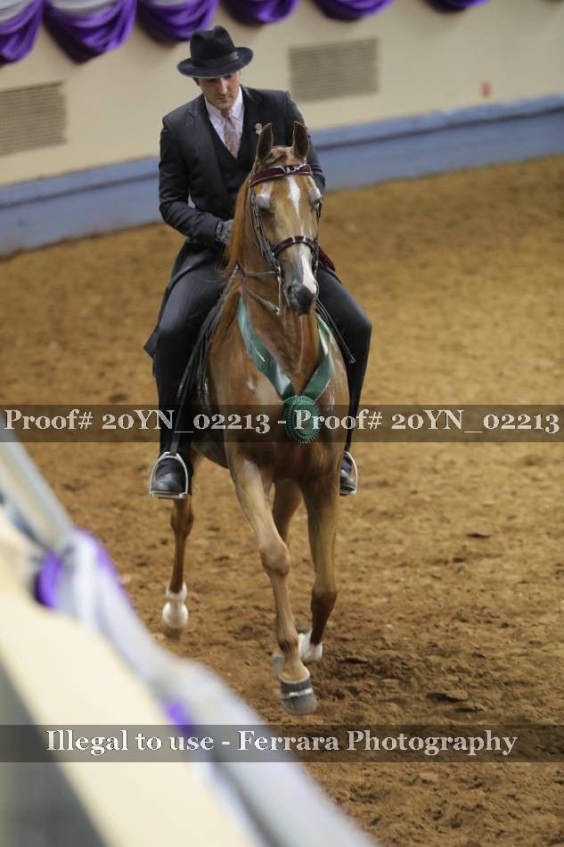 Proof 20YN_02213