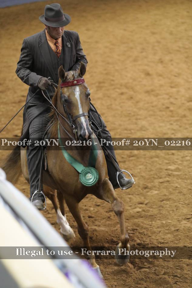 Proof 20YN_02216