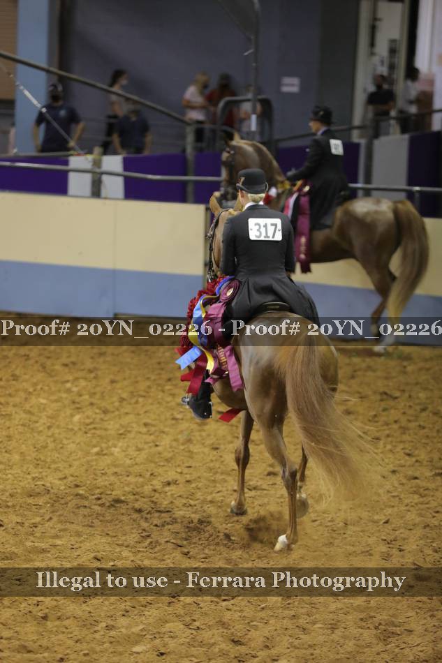 Proof 20YN_02226
