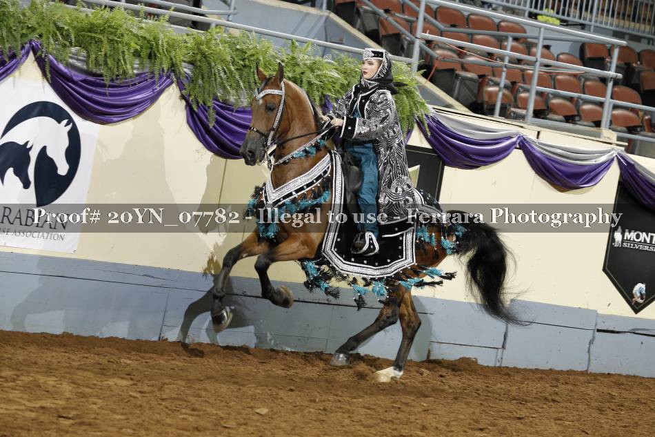 Proof 20YN_07782