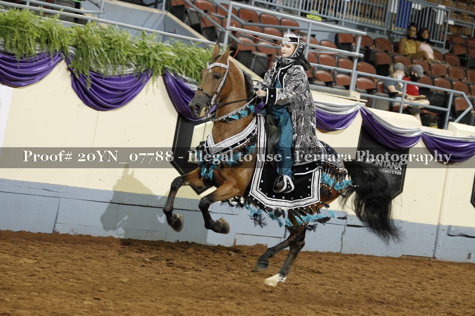 Proof 20YN_07788