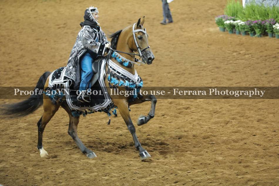 Proof 20YN_07801