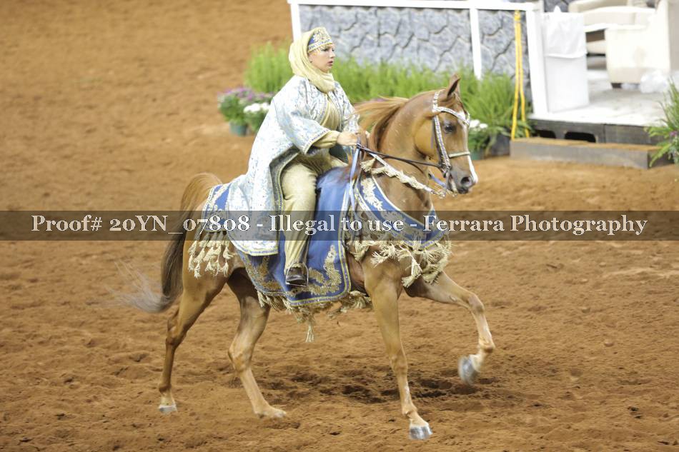 Proof 20YN_07808