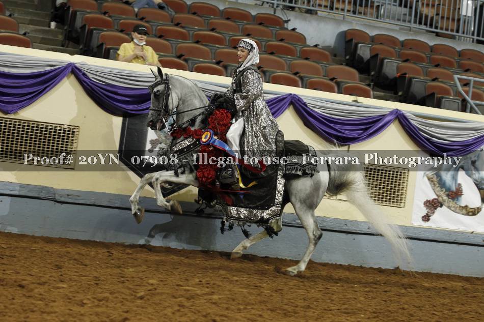 Proof 20YN_07908