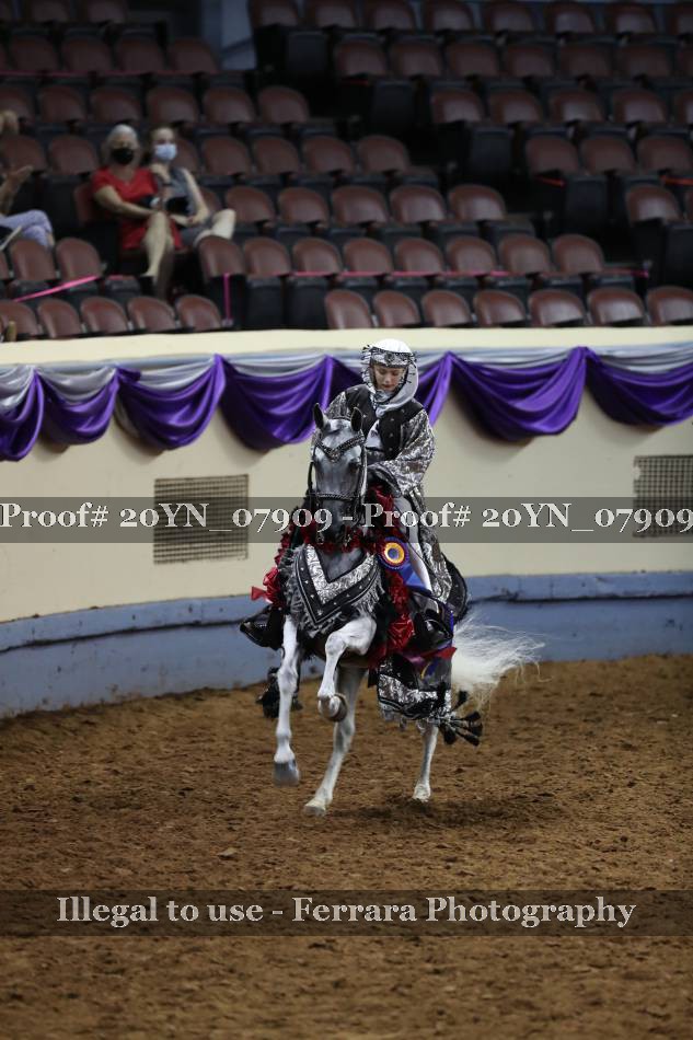 Proof 20YN_07909