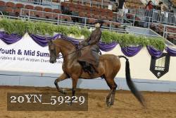20YN_59229 proof